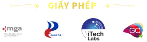 giấy phép hợp pháp e39